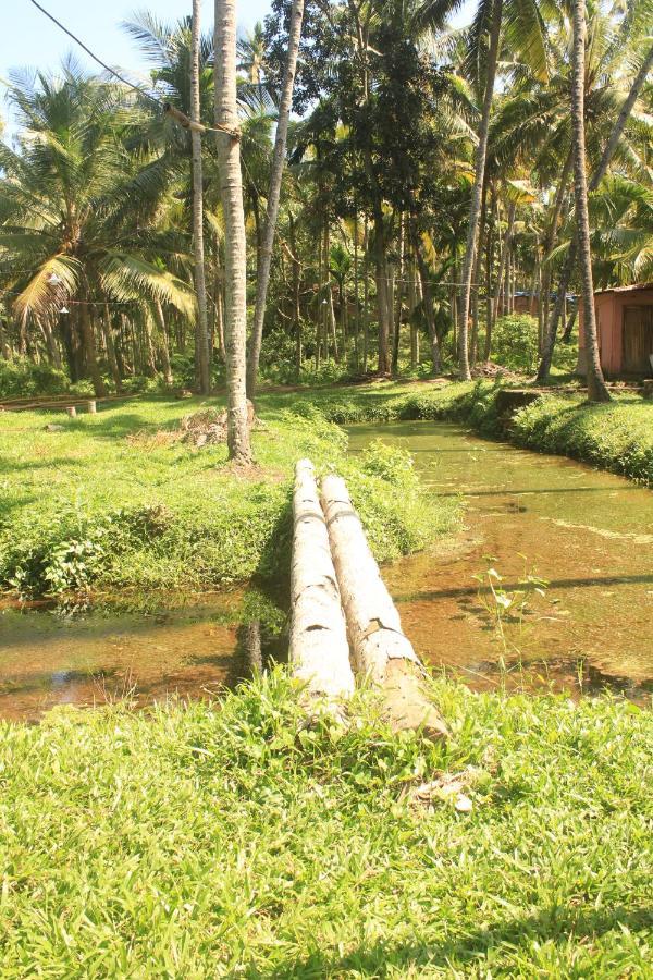 The Temple Tree Varkala Apartment Exterior foto