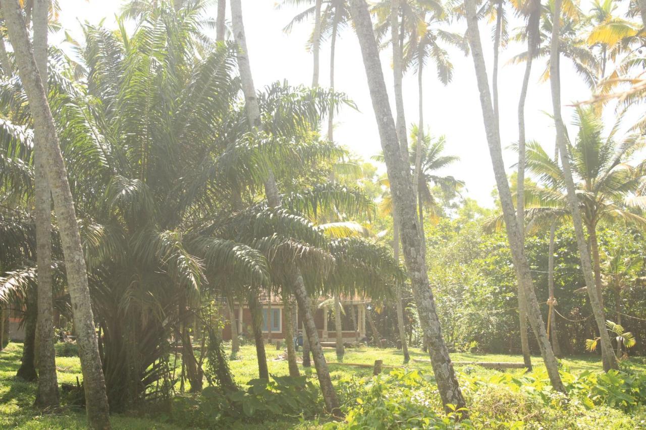 The Temple Tree Varkala Apartment Exterior foto