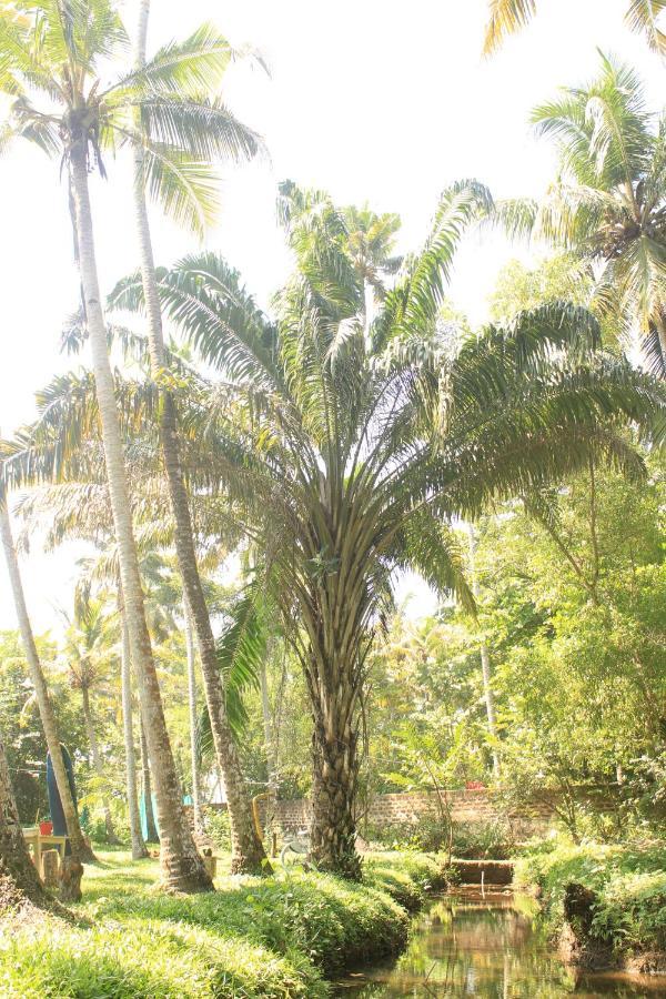 The Temple Tree Varkala Apartment Exterior foto