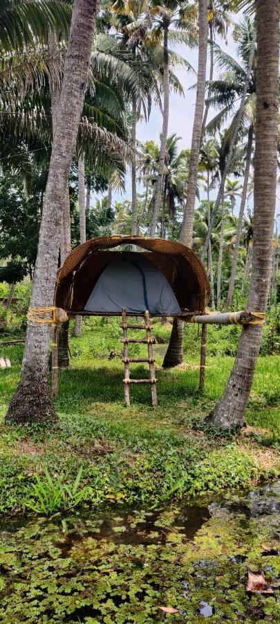 The Temple Tree Varkala Apartment Cameră foto